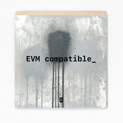 0013 evm.deploy (universal) ;_