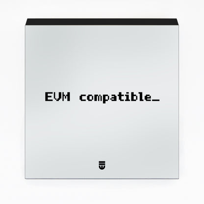 0013 evm.deploy (universal) ;_