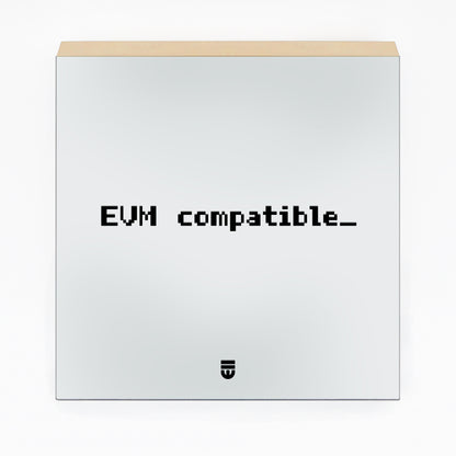 0013 evm.deploy (universal) ;_