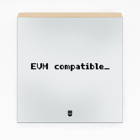 0013 evm.deploy (universal) ;_