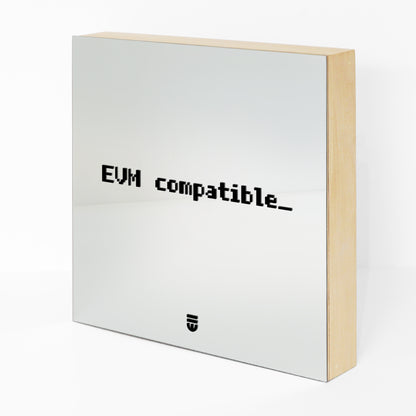 0013 evm.deploy (universal) ;_