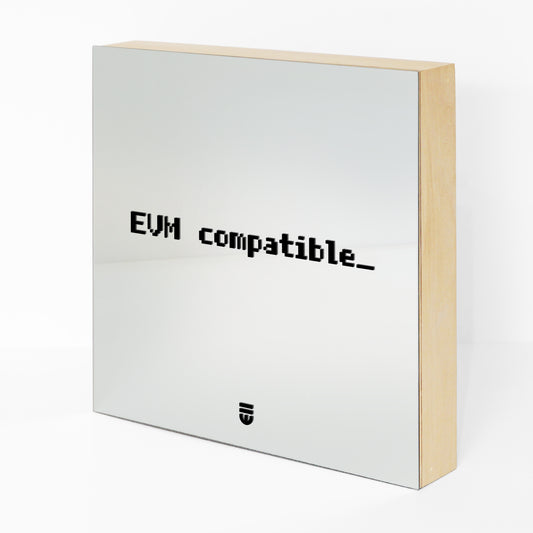 0013 evm.deploy (universal) ;_