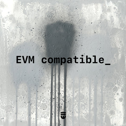0013 evm.deploy (universal) ;_
